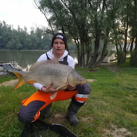 Baja-van Vendeghaz Prázdninový dům Baja