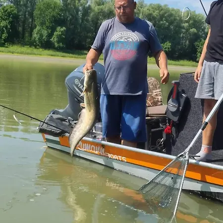 Baja-van Vendeghaz * Baja