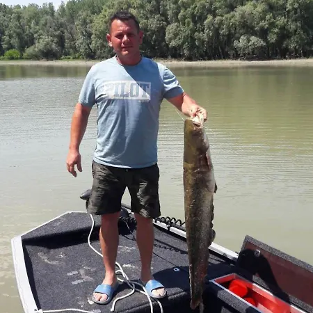 Baja-van Vendeghaz *