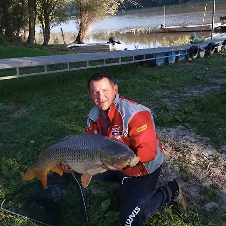 Baja-van Vendeghaz Baja