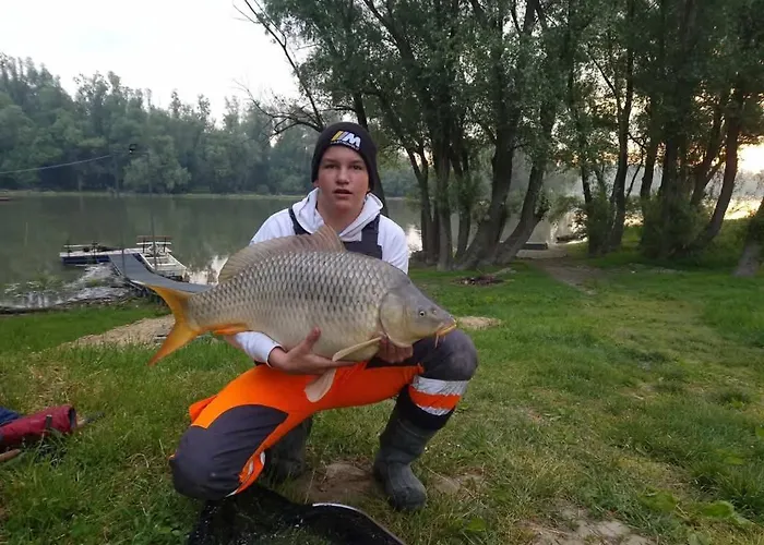 Baja-van Vendeghaz Holiday home Baja