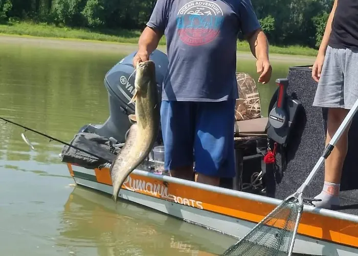 Baja-van Vendeghaz * Baja