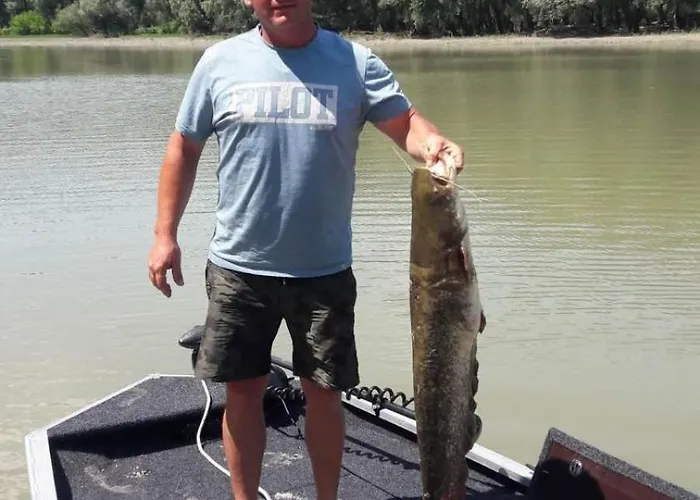 Baja-van Vendeghaz *