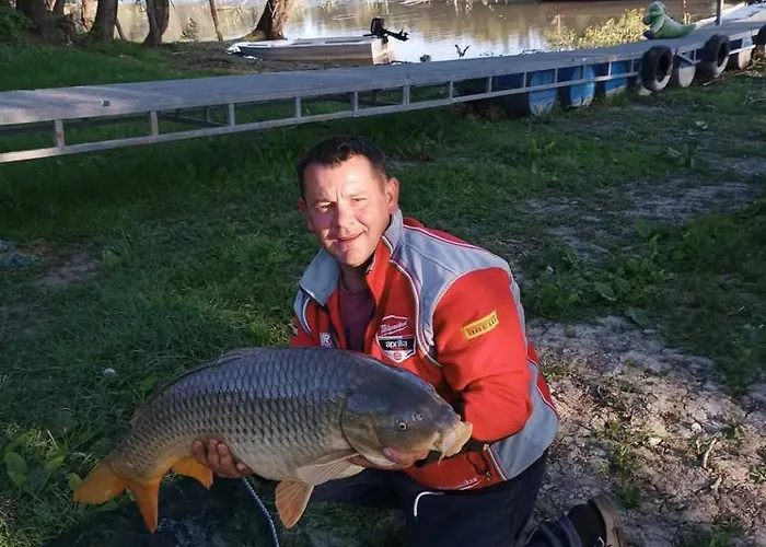 Baja-van Vendeghaz Baja