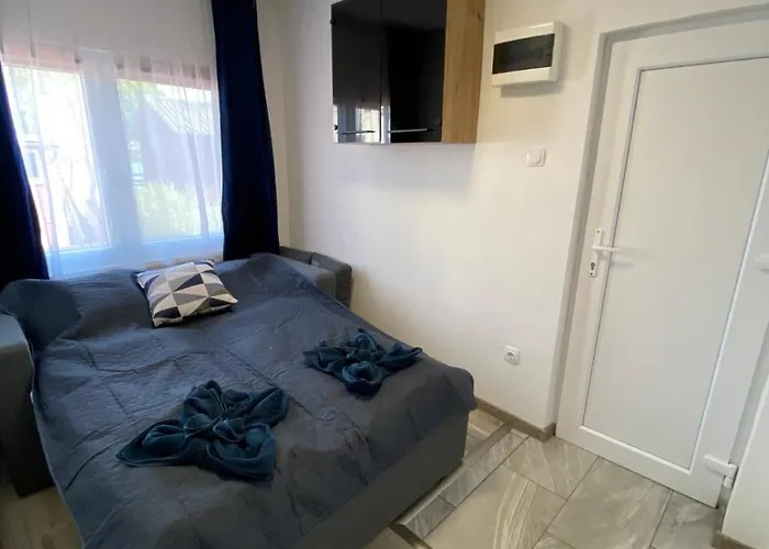 Baja-van Vendeghaz Holiday home *